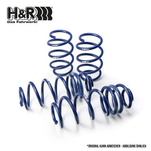 Load image into Gallery viewer, H&amp;R Lowering Springs 25mm / Puma ST