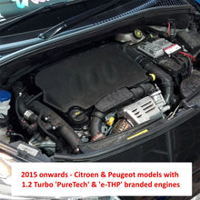 Load image into Gallery viewer, Ramair Air Intake Kit Citroen DS3/DS4 &amp; Peugeot 208/308 1.2 THP/VTI 110/130