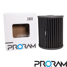 Load image into Gallery viewer, Ramair Audi Replacement Pleated Air Filter - PPF-2051