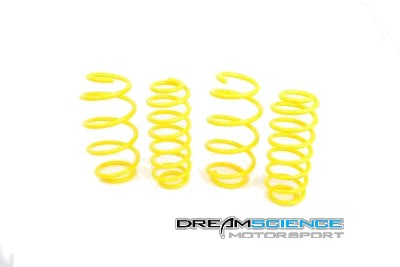 ST180 KW Lowering Springs 20mm